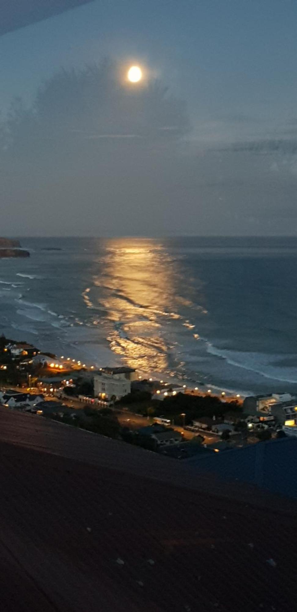 Rosemount B&B By The Sea St Clair Dunedin Exterior foto